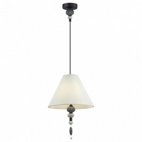 Подвесной светильник Odeon Light Sochi 4896/1 в Сургуте - surgut.mebel24.online | фото 2
