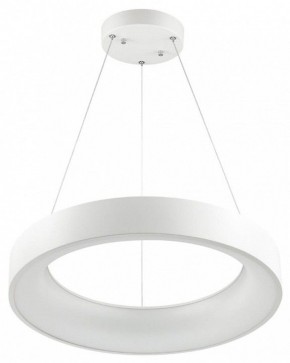 Подвесной светильник Odeon Light Sole 4066/50L в Сургуте - surgut.mebel24.online | фото 2