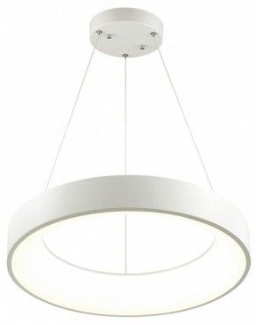 Подвесной светильник Odeon Light Sole 4066/50L в Сургуте - surgut.mebel24.online | фото 3