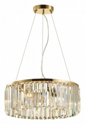 Подвесной светильник Odeon Light Vassa 4987/6 в Сургуте - surgut.mebel24.online | фото 4