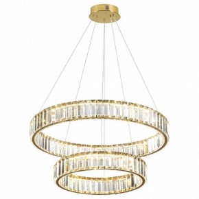 Подвесной светильник Odeon Light Vekia 5015/60L в Сургуте - surgut.mebel24.online | фото 2