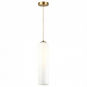 Подвесной светильник Odeon Light Vosti 4642/1 в Сургуте - surgut.mebel24.online | фото 2