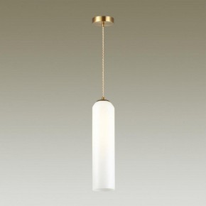 Подвесной светильник Odeon Light Vosti 4642/1 в Сургуте - surgut.mebel24.online | фото 4