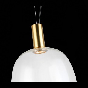 Подвесной светильник ST-Luce Allenore SL1582.313.01 в Сургуте - surgut.mebel24.online | фото 9