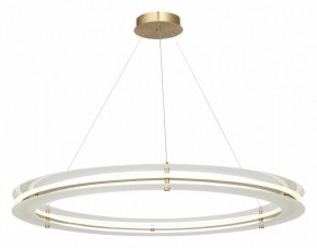Подвесной светильник ST-Luce FAGY SL6245.213.01 в Сургуте - surgut.mebel24.online | фото 4