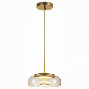 Подвесной светильник ST-Luce Lacio SL6002.203.01 в Сургуте - surgut.mebel24.online | фото