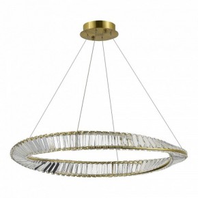 Подвесной светильник ST-Luce Ritorto SL6204.311.01 в Сургуте - surgut.mebel24.online | фото 3