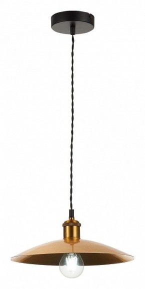 Подвесной светильник ST-Luce Romo SL1017.203.01 в Сургуте - surgut.mebel24.online | фото 4