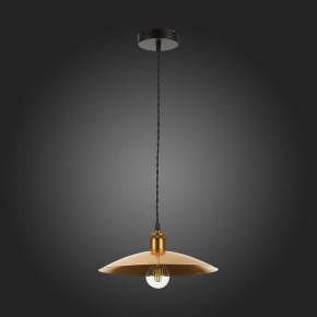 Подвесной светильник ST-Luce Romo SL1017.203.01 в Сургуте - surgut.mebel24.online | фото 7