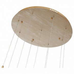 Подвесной светильник ST-Luce SL1116 SL1116.203.09 в Сургуте - surgut.mebel24.online | фото 4