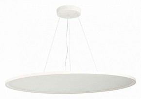 Подвесной светильник ST-Luce ST602 ST602.543.120 в Сургуте - surgut.mebel24.online | фото 2