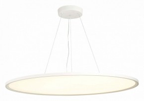 Подвесной светильник ST-Luce ST602 ST602.543.120 в Сургуте - surgut.mebel24.online | фото 3