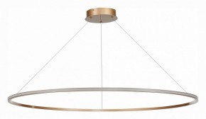 Подвесной светильник ST-Luce ST604 OUT ST604.243.57 в Сургуте - surgut.mebel24.online | фото 2