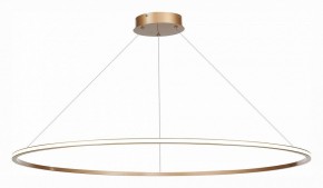 Подвесной светильник ST-Luce ST604 OUT ST604.243.57 в Сургуте - surgut.mebel24.online | фото 3