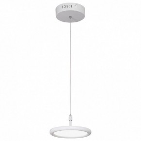Подвесной светильник Vitaluce V4604 V4604-0/1S в Сургуте - surgut.mebel24.online | фото 2