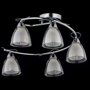Потолочная люстра Arti Lampadari Paola, Tavenna Nickel Paola E 1.1.5 N в Сургуте - surgut.mebel24.online | фото 2