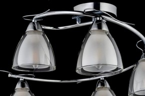 Потолочная люстра Arti Lampadari Paola, Tavenna Nickel Paola E 1.1.5 N в Сургуте - surgut.mebel24.online | фото 4