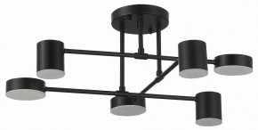 Потолочная люстра EVOLUCE Nobel SLE201042-06 в Сургуте - surgut.mebel24.online | фото 11