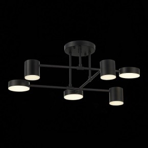 Потолочная люстра EVOLUCE Nobel SLE201042-06 в Сургуте - surgut.mebel24.online | фото 13