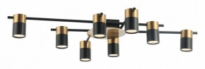 Потолочная люстра Favourite Topper 2825-8P в Сургуте - surgut.mebel24.online | фото 2