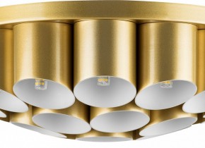 Потолочная люстра Lightstar Siena 720222 в Сургуте - surgut.mebel24.online | фото 3