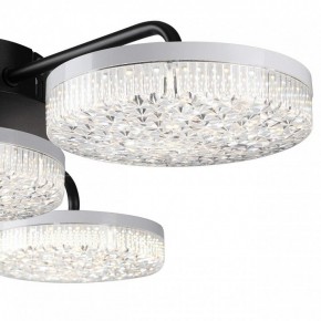Потолочная люстра Lumion Didana 8236/4CL в Сургуте - surgut.mebel24.online | фото 7