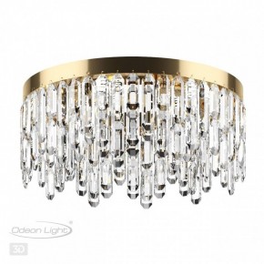 Потолочная люстра Odeon Light Dakisa 4986/6C в Сургуте - surgut.mebel24.online | фото 4