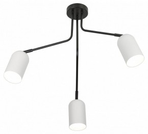 Потолочная люстра Rivoli Rosalinda Б0064987 в Сургуте - surgut.mebel24.online | фото 4