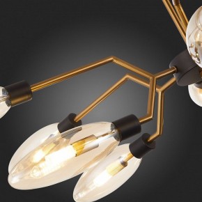 Потолочная люстра ST-Luce Desima SL1174.303.12 в Сургуте - surgut.mebel24.online | фото 10