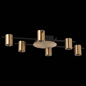 Потолочная люстра ST-Luce Veroli SL1207.402.06 в Сургуте - surgut.mebel24.online | фото 2