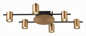 Потолочная люстра ST-Luce Veroli SL1207.402.06 в Сургуте - surgut.mebel24.online | фото 3