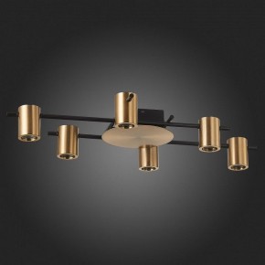 Потолочная люстра ST-Luce Veroli SL1207.402.06 в Сургуте - surgut.mebel24.online | фото 4