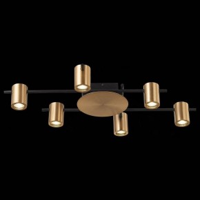 Потолочная люстра ST-Luce Veroli SL1207.402.06 в Сургуте - surgut.mebel24.online | фото 5