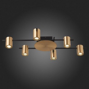 Потолочная люстра ST-Luce Veroli SL1207.402.06 в Сургуте - surgut.mebel24.online | фото 6