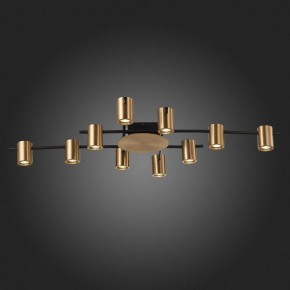 Потолочная люстра ST-Luce Veroli SL1207.402.10 в Сургуте - surgut.mebel24.online | фото 6