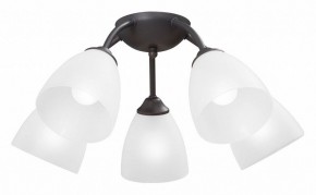 Потолочная люстра Vitaluce V3184 V3737-2/5PL в Сургуте - surgut.mebel24.online | фото