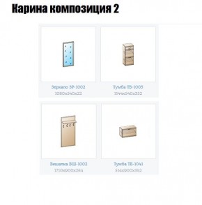 Прихожая Карина (модульная) в Сургуте - surgut.mebel24.online | фото 6