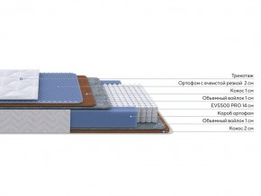 PROxSON Матрас Active Duo M/F (Ткань Трикотаж Эко) 180x195 в Сургуте - surgut.mebel24.online | фото 2
