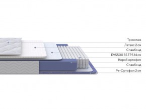 PROxSON Матрас Active Duo S/F (Ткань Трикотаж Эко) 180x190 в Сургуте - surgut.mebel24.online | фото 2