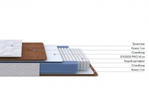 PROxSON Матрас Active F Roll (Ткань Трикотаж Эко) 160x200 в Сургуте - surgut.mebel24.online | фото 3