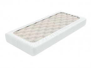 PROxSON Защитный чехол Aqua Save Light M (Ткань влагостойкая Tencel Jersey) 120x200 в Сургуте - surgut.mebel24.online | фото 2