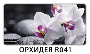 Раздвижной СТ Бриз орхидея R041 Кофе R012 в Сургуте - surgut.mebel24.online | фото 4