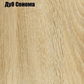 ЧЕЛСИ Шкаф 2-х створчатый (2УПК) комбинированный в Сургуте - surgut.mebel24.online | фото 4
