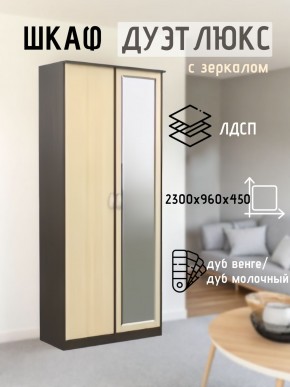 Шкаф 2-х створчатый Дуэт Люкс с зеркалом в Сургуте - surgut.mebel24.online | фото
