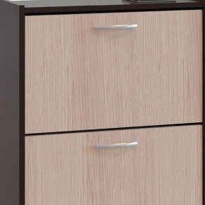 Шкаф для обуви ТО-24 в Сургуте - surgut.mebel24.online | фото 4