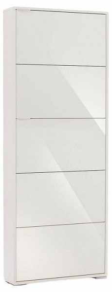 Шкаф для обуви Viva-5S в Сургуте - surgut.mebel24.online | фото
