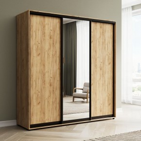 Шкаф-купе Акцент-Сим ДЗ 1500-600 в Сургуте - surgut.mebel24.online | фото 4