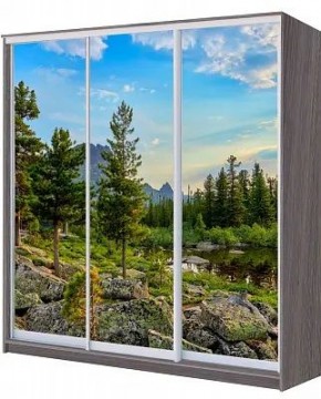 Шкаф-купе ХИТ 22-20/2-777 ПРИРОДА в Сургуте - surgut.mebel24.online | фото