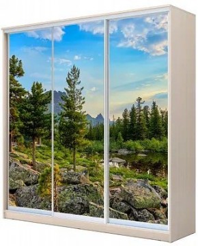 Шкаф-купе ХИТ 22-20-777 ПРИРОДА в Сургуте - surgut.mebel24.online | фото