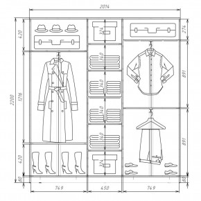 Шкаф-купе ХИТ 22-4-20-555 (420) в Сургуте - surgut.mebel24.online | фото 2